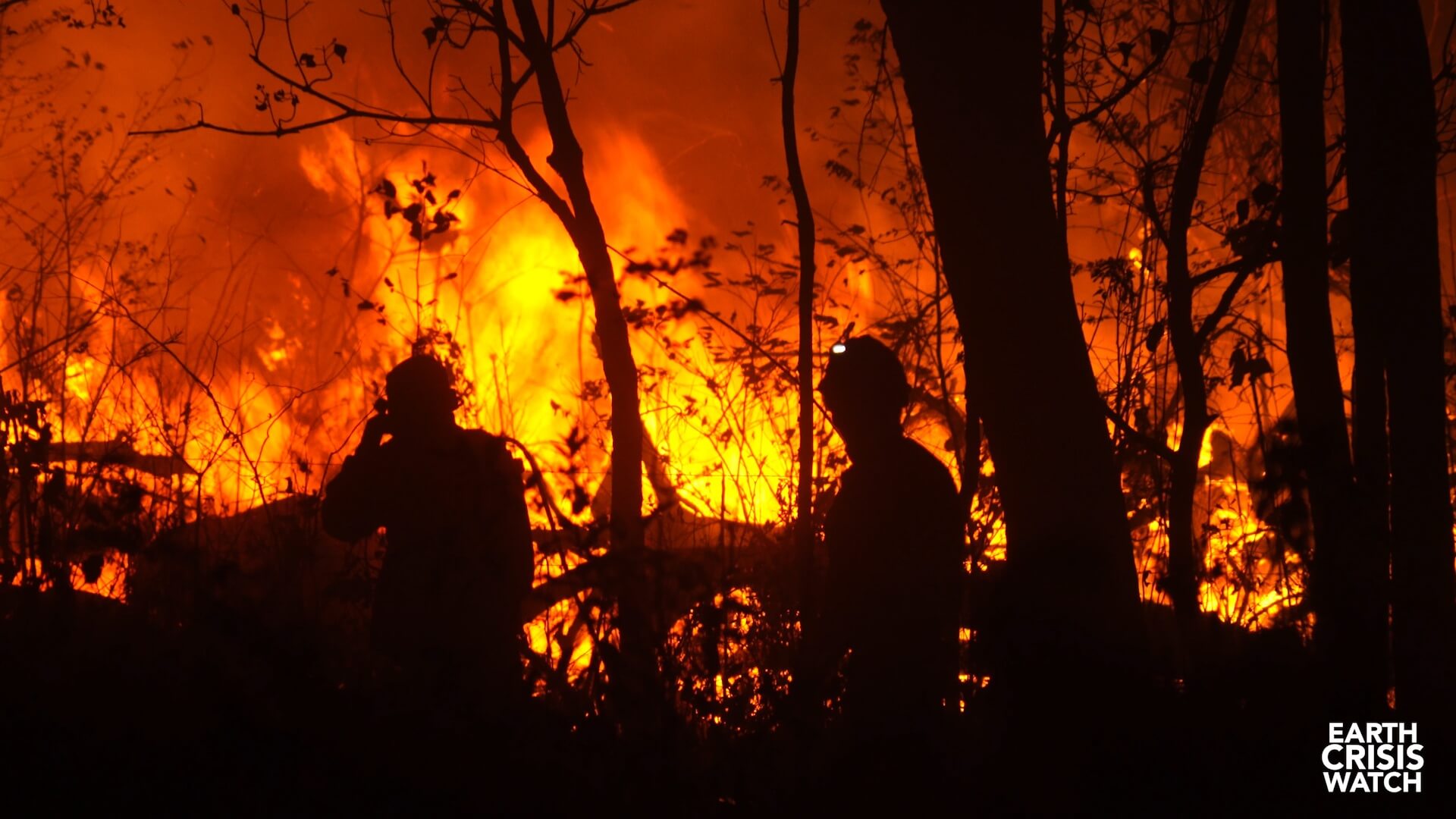 Bolivia: HRF Condemns President Morales’ Role in Forest Fires