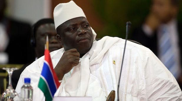 The Gambia: On the Eve of a Presidential Election, HRF Demands Release of Pro-Democracy Activists