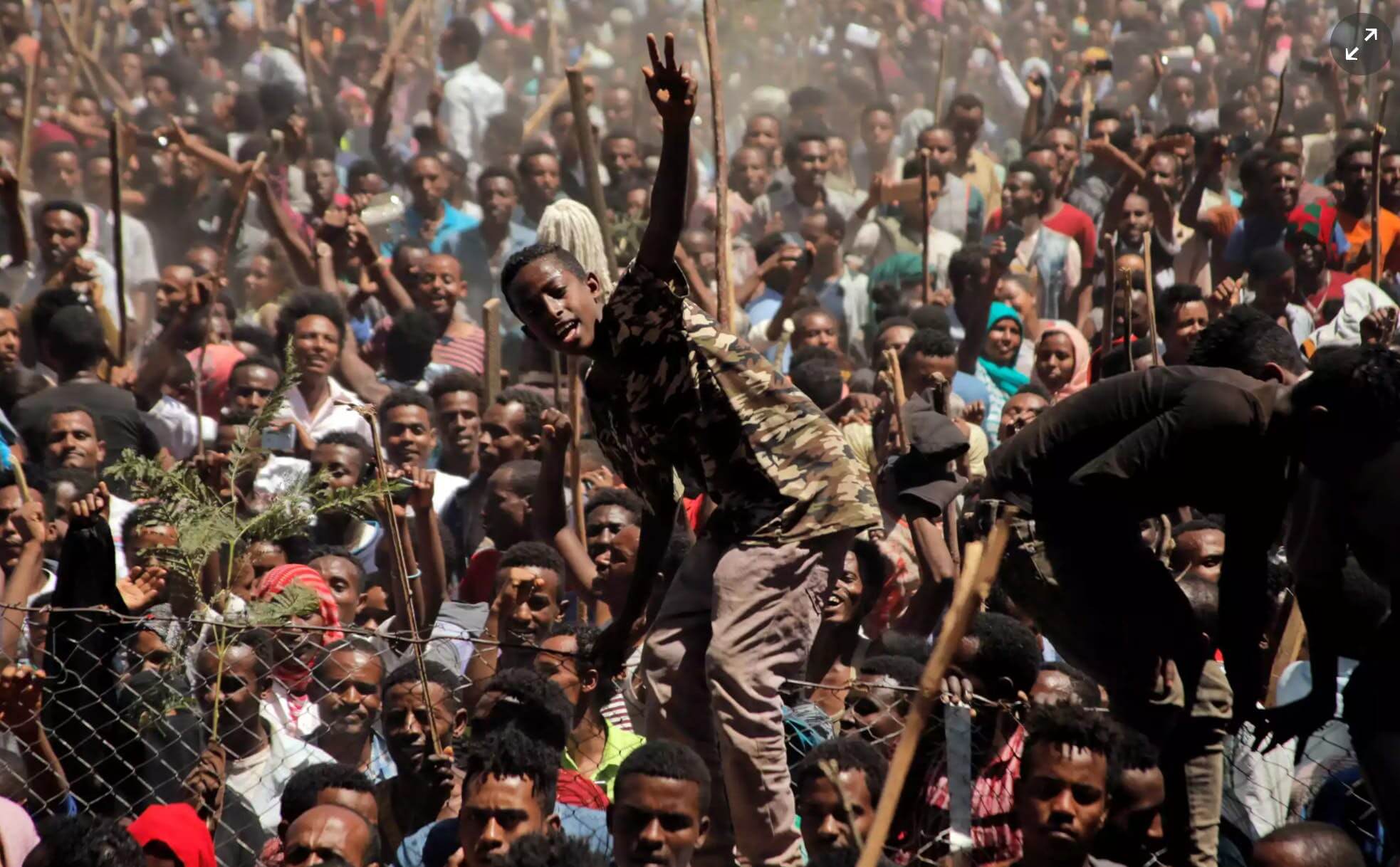 'Freedom!': the movement that brought Ethiopia to a standstill